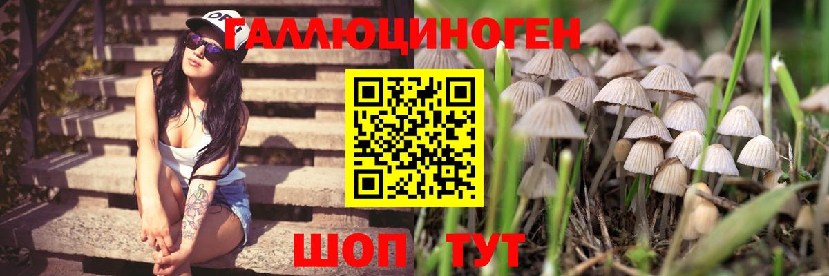 Галлюциногенные грибы мицелий  Вход с VPN  Славгород  Псилоцибиновые грибы Psilocybine cubensis 
